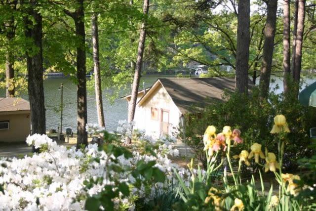 هوت سبرنغز Edgewater Resort Cottage #1 المظهر الخارجي الصورة